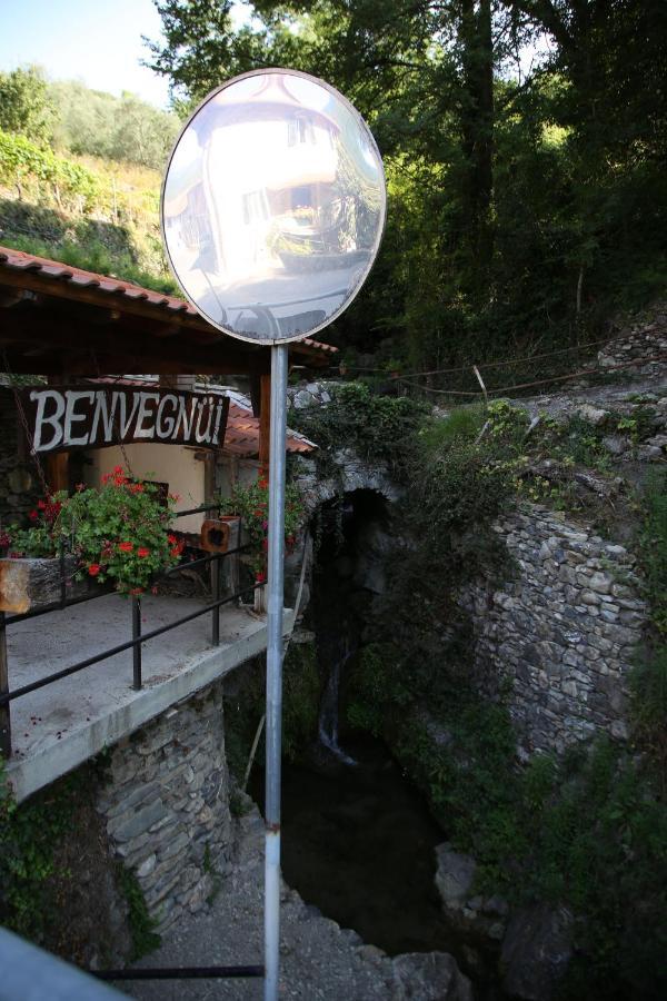 A Cà Du Barbijum Villa Pieve di Teco Bagian luar foto